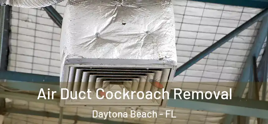 Air Duct Cockroach Removal Daytona Beach - FL