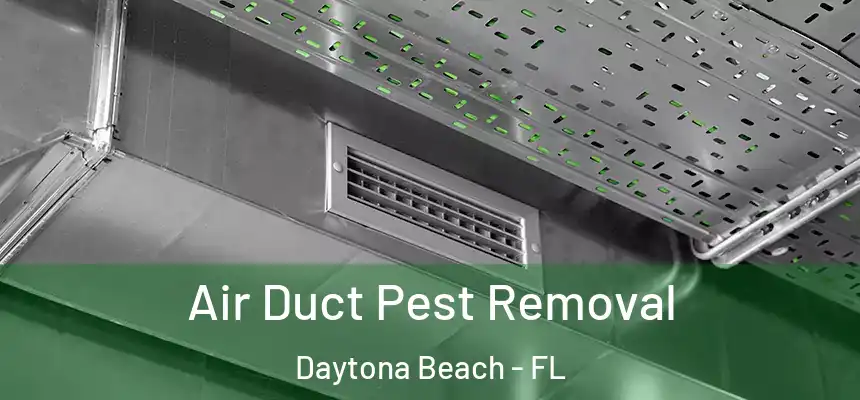 Air Duct Pest Removal Daytona Beach - FL