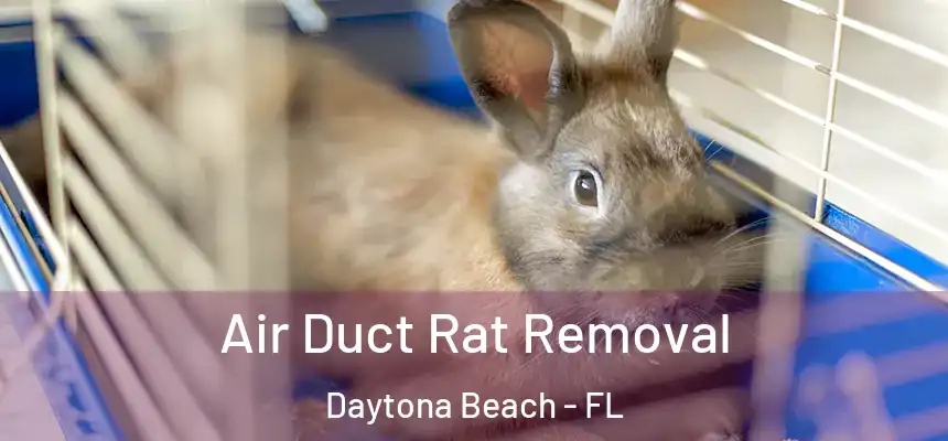 Air Duct Rat Removal Daytona Beach - FL