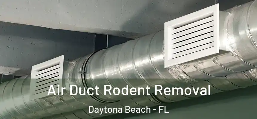 Air Duct Rodent Removal Daytona Beach - FL