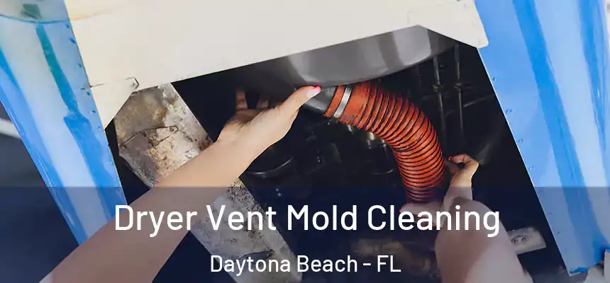  Dryer Vent Mold Cleaning Daytona Beach - FL