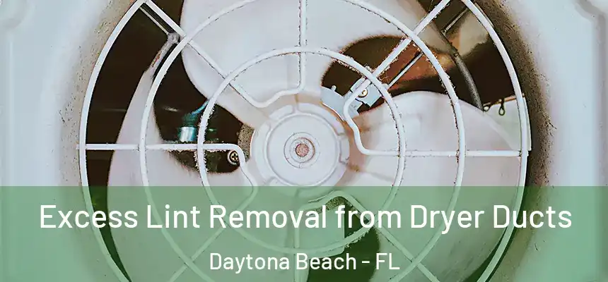 Excess Lint Removal from Dryer Ducts Daytona Beach - FL