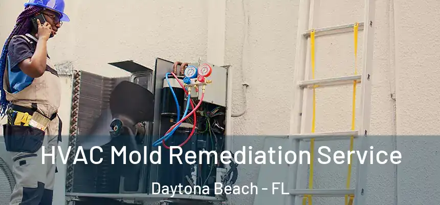 HVAC Mold Remediation Service Daytona Beach - FL
