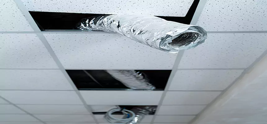 Affordable HVAC Sanitizing After Pest Removal in Daytona Beach