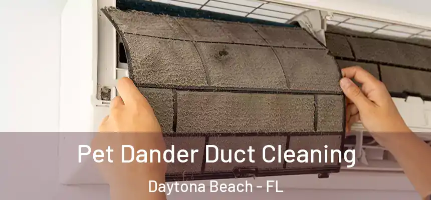 Pet Dander Duct Cleaning Daytona Beach - FL