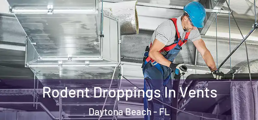 Rodent Droppings In Vents Daytona Beach - FL