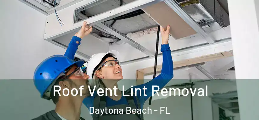 Roof Vent Lint Removal Daytona Beach - FL