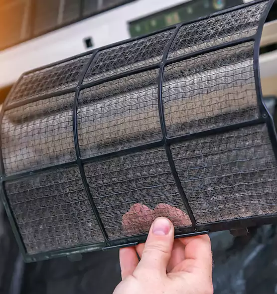 About Pet Dander Duct Cleaning in Daytona Beach, FL